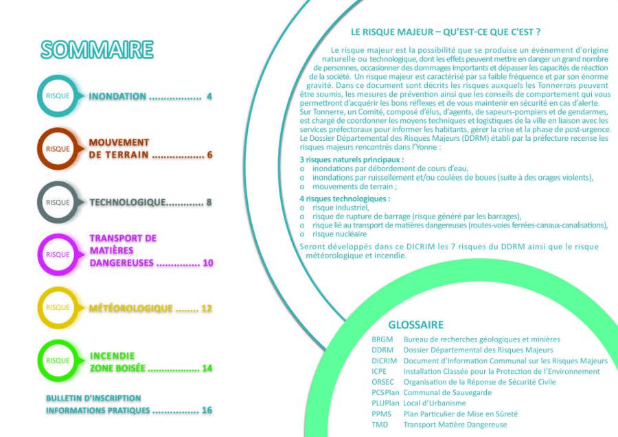 dicrim_page_03.jpg
