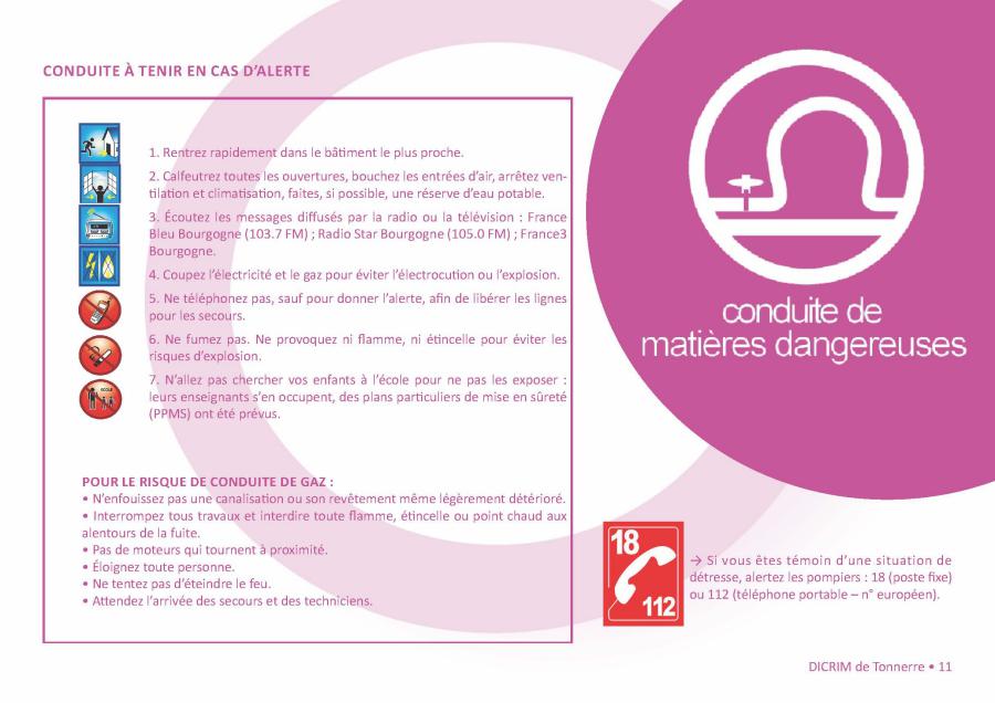 dicrim_page_11.jpg